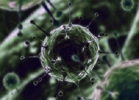 Microorganismos bacterianos como causa da prostatite